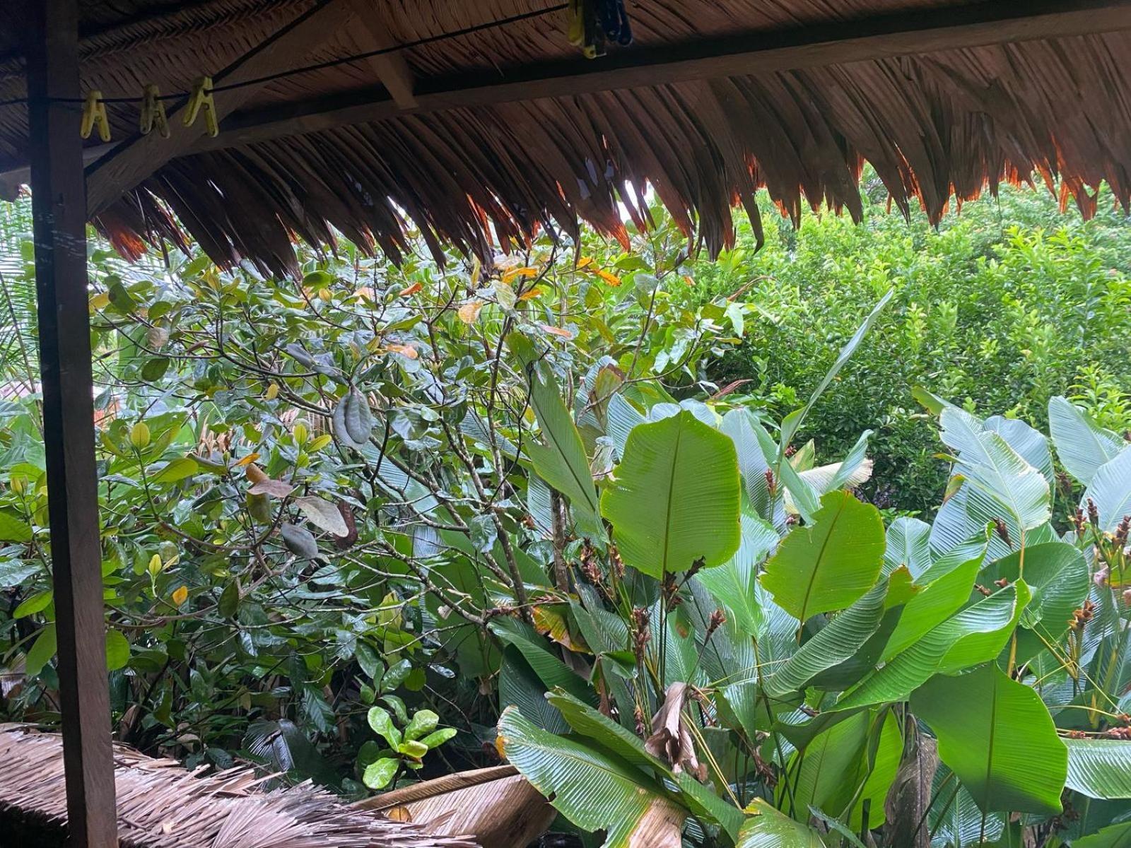 Xingu Camping Site Leticia Exterior foto