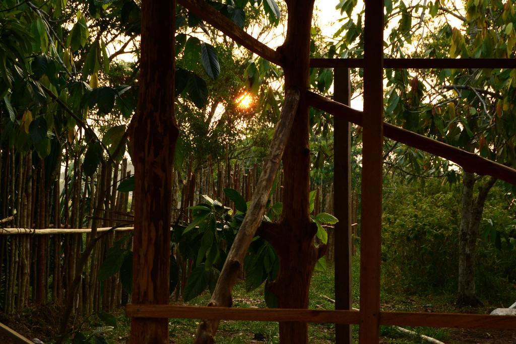 Xingu Camping Site Leticia Exterior foto