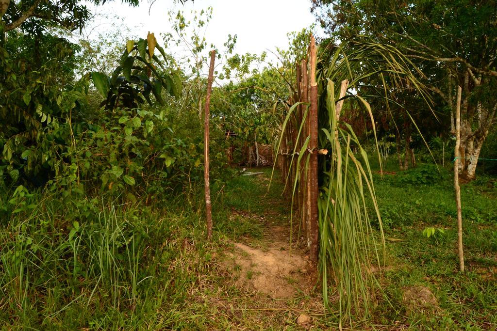Xingu Camping Site Leticia Exterior foto