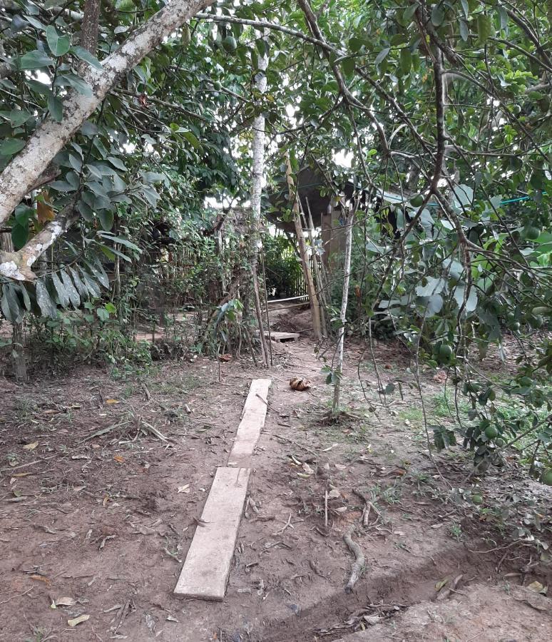 Xingu Camping Site Leticia Exterior foto